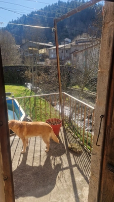 Maison avec activité d'hébergement à vendre 6 pièces DORNAS (07)