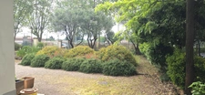 Ensemble immobilier T11 de 279 m2 avec garage, caves et hangar sur 816 m2 de terrain