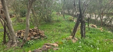 Villa T4 de 98 m2 sur 1455 m2 de terrain