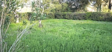 Villa T4 de 93 m2 avec annexes et piscine sur 2229 m2 de terrain.