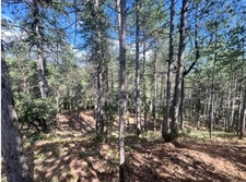 Terrain à vendre de 3 577,00 m² BOURG SAINT ANDEOL (07)