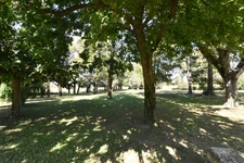 secteur PIERRELATTE, au calme,bâtisse ancienne restaurée avec 230 m de dépendances sur terrain arboré de  5700 m2 paysagé de grands arbres d'ornement et oliviersMaison à vendre 6 pièces DONZE