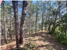 Terrain à vendre de 3 577,00 m² BOURG SAINT ANDEOL (07)