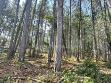 Terrain à vendre de 3 577,00 m² BOURG SAINT ANDEOL (07)