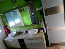  EINVILLE AU JARD PAVILLON SUR 3000 M² DE TERRAIN
