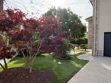 Maison à vendre 10 pièces LUNEVILLE (54)