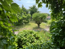 MAISON + GRANDE DEPENDANCE 260M² + COMBLE.  FLAVIGNY SUR MOSELLE (54630)