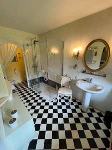 MAISON + GRANDE DEPENDANCE 260M² + COMBLE.  FLAVIGNY SUR MOSELLE (54630)