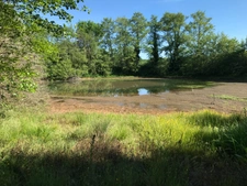 Genouillac (Terre de haute Charente). Propriété rurale sur 19 hectares 
