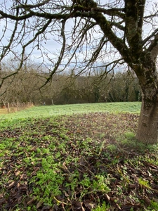 Bunzac - Longère de 121 m² avec dépendances et jardin 