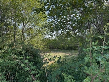 Genouillac (Terre de haute Charente). Propriété rurale sur 19 hectares 