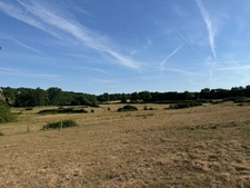 Genouillac (Terre de haute Charente). Propriété rurale sur 19 hectares 
