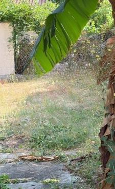 Soyaux. Maison mitoyenne de 102 m² avec garage et jardin 