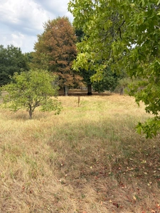 Saint Yrieix. Maison 190 m² sur terrain de 4070 m² 