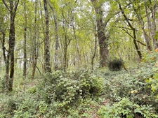 Propriété comprenant 2 maisons avec granges sur 4 ha 