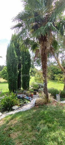 Exceptionnelle : Val de Bonnieure, maison de 200 m² sans vis à vis, piscine, terrain.