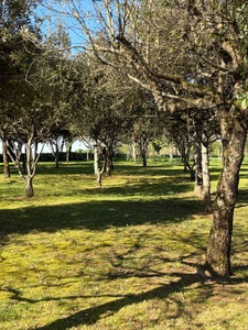Cellefrouin. Maison 135 m² avec garage et véranda sur terrain de 12775 m²