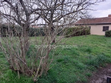 Commune de BEAUVALLON (69)  parcelle de 1525 m2  pour un collectif