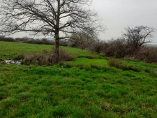 SAINT ANDEOL LE CHATEAU 69700, terrain agricole de 23 055 m2