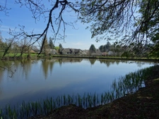 SECTEUR SAINT HILAIRE LES PLACES PROCHE DE NEXON EN HAUTE VIENNE MAGNIFIQUE MANOIR DU 17EME DE 280 M² HABITABLES SUR 17862 M² DE TERRAIN AVEC UN ETANG DE 6000 M² ET PISCINE