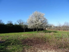 A PANAZOL TRES BEAU TERRAIN PLAT DE 2370 M² AVEC CU TRES BELLE VUE DEGAGEE