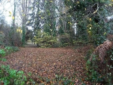 A PANAZOL BEAU TERRAIN DE 8182 M² AVEC CU DANS UNE IMPASSE