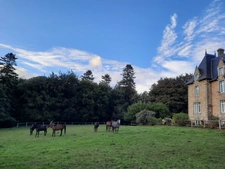 Entre saint Brieuc et Guingamp charmant château début 20e avec écurie professionnelle comprenant 36 boxes sur un parc de 8.5 hectares.