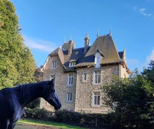 Entre saint Brieuc et Guingamp charmant château début 20e avec écurie professionnelle comprenant 36 boxes sur un parc de 8.5 hectares.