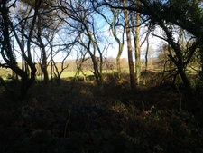 parcelle boisée de 8 hectares proche de Moncontour 