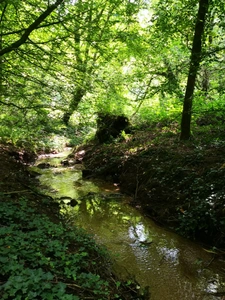 cadre bucolique pour ce domaine compose de 3 maisons sur 15 000 m2 