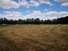 domaine agricole de 70 hectares d’un seul tenant avec bâtiment agricole et hangar