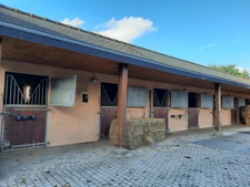 Entre saint Brieuc et Guingamp charmant château début 20e avec écurie professionnelle comprenant 36 boxes sur un parc de 8.5 hectares.