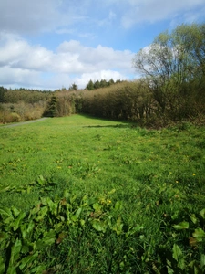 Terrain agricole de 13 000 m² avec bâtiment agricole récent  Idéal projet équestre ou petite agriculture