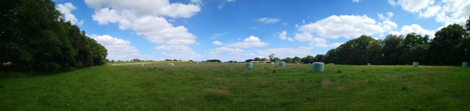 domaine agricole de 70 hectares d’un seul tenant avec bâtiment agricole et hangar · à Rostrenen · 425 000 €