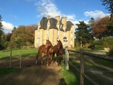 Entre saint Brieuc et Guingamp charmant château début 20e avec écurie professionnelle comprenant 36 boxes sur un parc de 8.5 hectares.