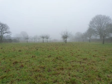 15 km sud de Bourbriac opportunité agricole, 7,3 hectares en pleine nature près du lac de Kerné Uhel 