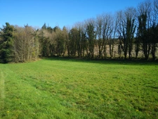 Terrain agricole de 13 000 m² avec bâtiment agricole récent  Idéal projet équestre ou petite agriculture