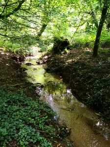 cadre bucolique pour ce domaine compose de 3 maisons sur 15 000 m2 