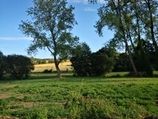 Découvrez ce joli corps de ferme isolé offrant un cadre exceptionnel et un potentiel rare, implanté sur 7,5 hectares de terrains (possibilité d’acquérir environ 12 hectares supplémentaires).