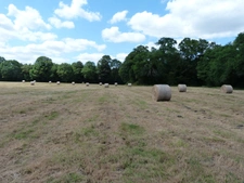 domaine agricole de 70 hectares d’un seul tenant avec bâtiment agricole et hangar