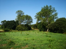 Découvrez ce joli corps de ferme isolé offrant un cadre exceptionnel et un potentiel rare, implanté sur 7,5 hectares de terrains (possibilité d’acquérir environ 12 hectares supplémentaires).