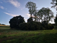 Découvrez ce joli corps de ferme isolé offrant un cadre exceptionnel et un potentiel rare, implanté sur 7,5 hectares de terrains (possibilité d’acquérir environ 12 hectares supplémentaires).