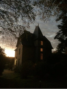 Entre saint Brieuc et Guingamp charmant château début 20e avec écurie professionnelle comprenant 36 boxes sur un parc de 8.5 hectares.
