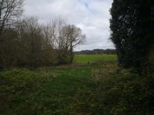 Proche du Château et de l’Étang de Corlay , ensemble en pierre de 200 m² sur 3.35 hectares