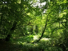 cadre bucolique pour ce domaine compose de 3 maisons sur 15 000 m2 