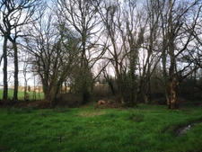 parcelle boisée de 8 hectares proche de Moncontour 
