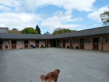 Entre saint Brieuc et Guingamp charmant château début 20e avec écurie professionnelle comprenant 36 boxes sur un parc de 8.5 hectares.