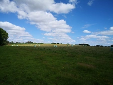 domaine agricole de 70 hectares d’un seul tenant avec bâtiment agricole et hangar