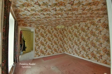 Maison d'habitation à rénover entièrement, composée d'une entrée, cuisine, salle à manger, cellier, remise, wc, garage et cave au rez-de-chaussée. A l'étage...