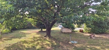 CORPE (85) CALME ABSOLU VILLA 2009 PLAIN PIED GRAND CONFORT AVEC PISCINE DOUBLE GARAGE SUR 1068M² CLOS